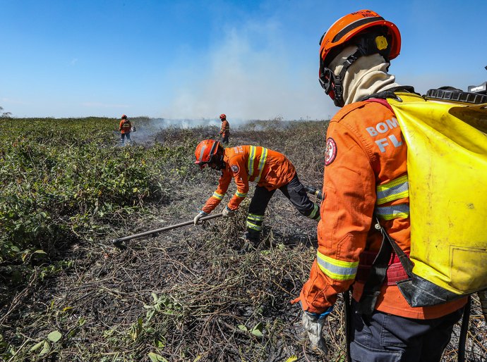 Corpo de Bombeiros combate 35 incêndios florestais em MT no domingo,01