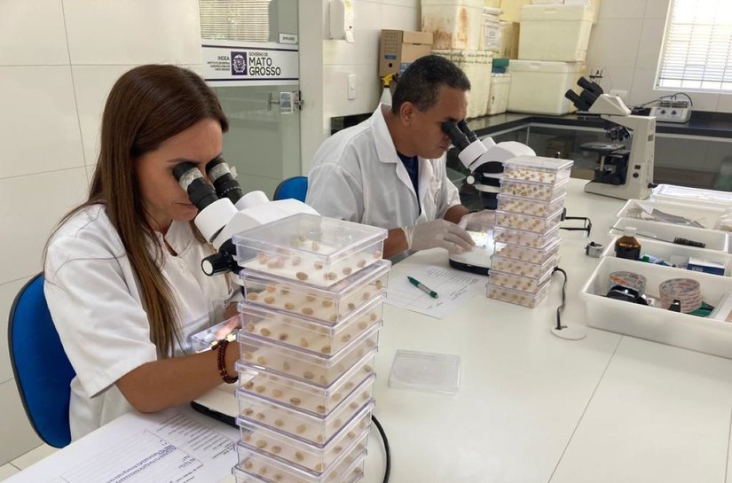 Laboratório do Indea auxilia no combate a doenças na agropecuária