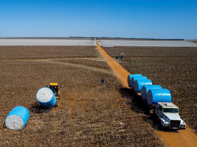 PIB de Mato Grosso registra a maior variação percentual do país e cresce mais de 1.230% em 20 anos