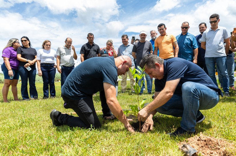 Parceria entre Prefeitura e Governo garante plantio de 10 mil árvores em Cuiabá