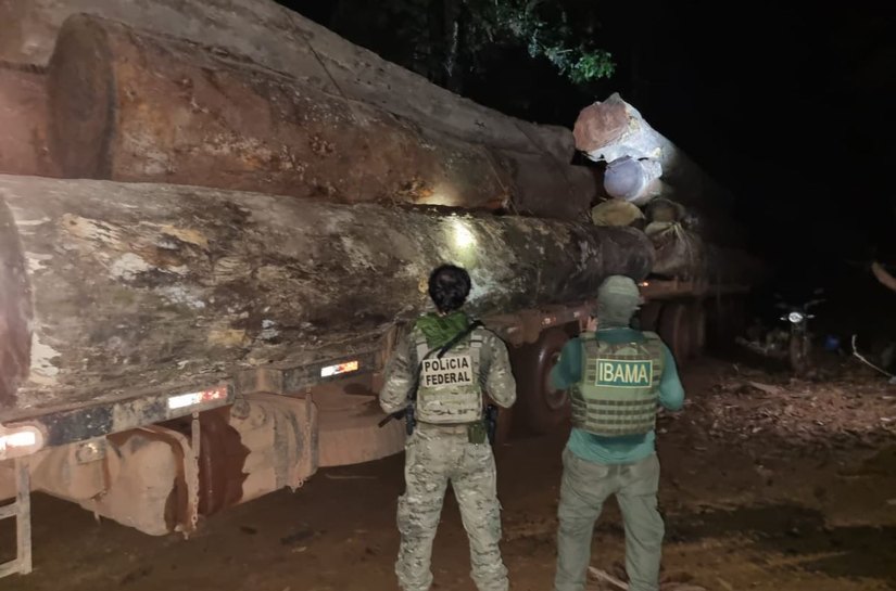 Veja Fotos e Vídeos: PF faz operação em conjunto com o Ibama contra garimpos e extração ilegais de madeiras em MT