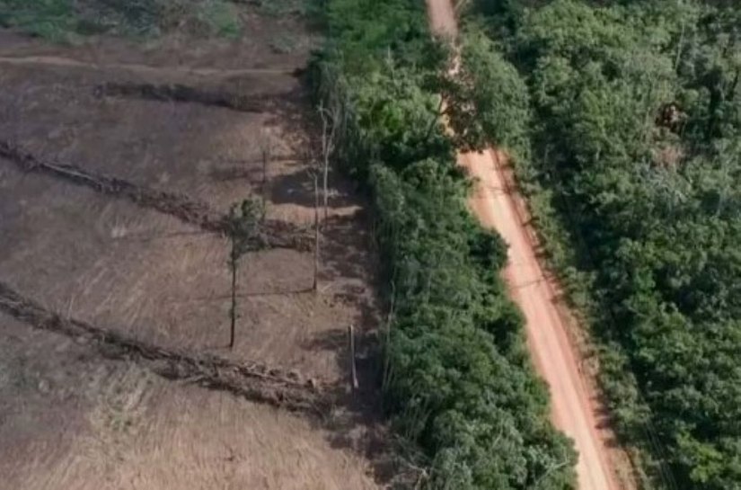 Amazônia Legal tem o maior desmatamento em 15 anos, aponta Imazon