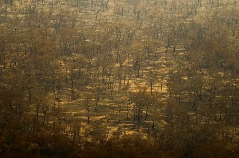 Incêndios e seca na Amazônia e no Pantanal batem marcas históricas