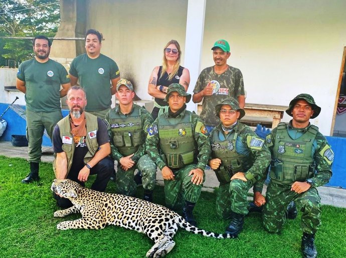 Veja Vídeos: Juvam resgata onça pintada domesticada em fazenda da região de Cáceres, MT