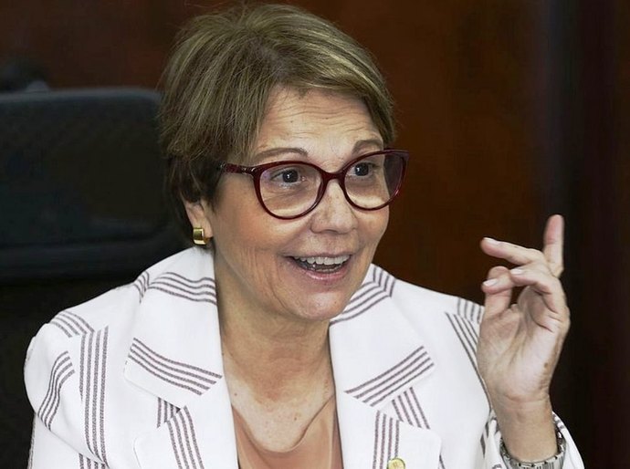 'Com mais gado no Pantanal, desastre seria menor', diz ministra da Agricultura