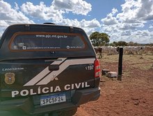 Polícia Civil recupera cabeças de gado de produtor rural em Nova Xavantina