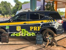 PRF apreende 20 tabletes de maconha em ônibus interestadual na BR-364 em Cuiabá