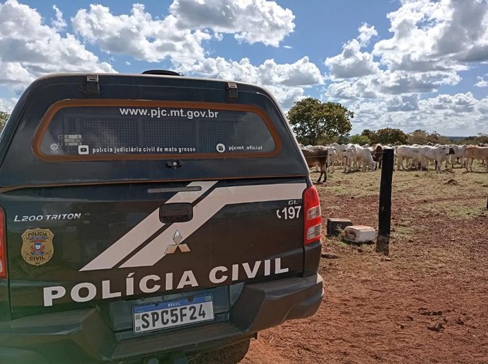 Polícia Civil recupera cabeças de gado de produtor rural em Nova Xavantina