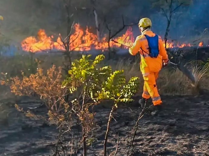 Incêndios atingem milhares de hectares em parques de Minas Gerais