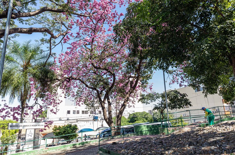 Prefeitura de Cuiabá realiza pagamento do salário de servidores e movimenta R$ 146 milhões na economia