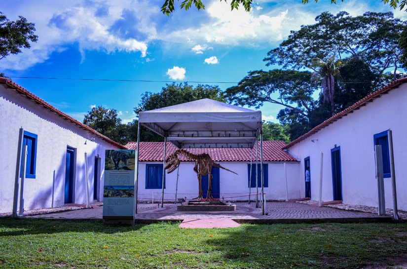 Museu de História Natural oferece atrações natalinas e inaugura trilha e biblioteca