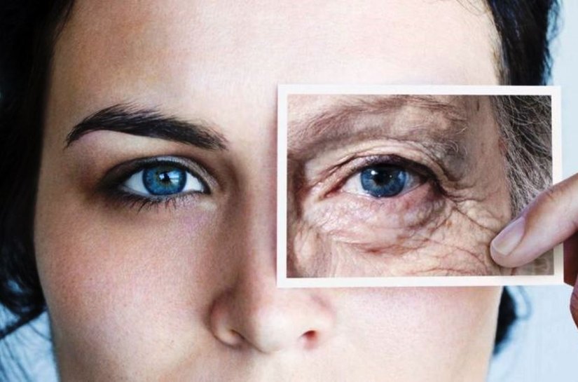 Envelhecer é uma doença que pode ser curada, diz cientista de Harvard