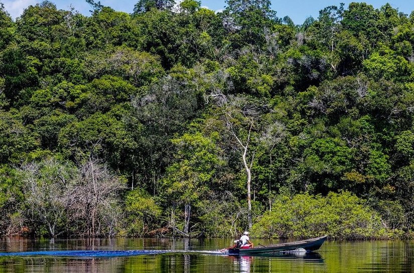 Hepatite Delta avança entre ribeirinhos no Amazonas