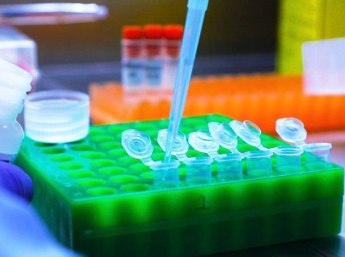 Brasil tem mais de 100 casos confirmados de Covid-19 causados pela variante Ômicron