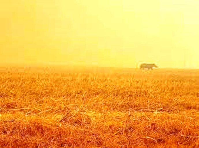 Devastação da Amazônia prejudica chuvas e ajuda Pantanal a bater recorde de queimadas