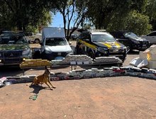 Operação integrada do Gefron e PRF apreende 280 quilos de drogas com auxílio de cão farejador