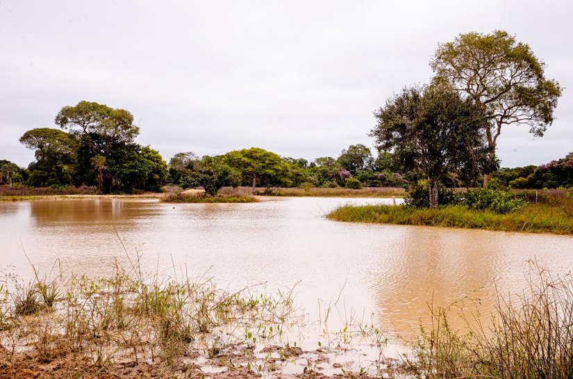 Período de defeso da Piracema será entre 1º de outubro de 2026 e 31 de janeiro de 2027 em MT