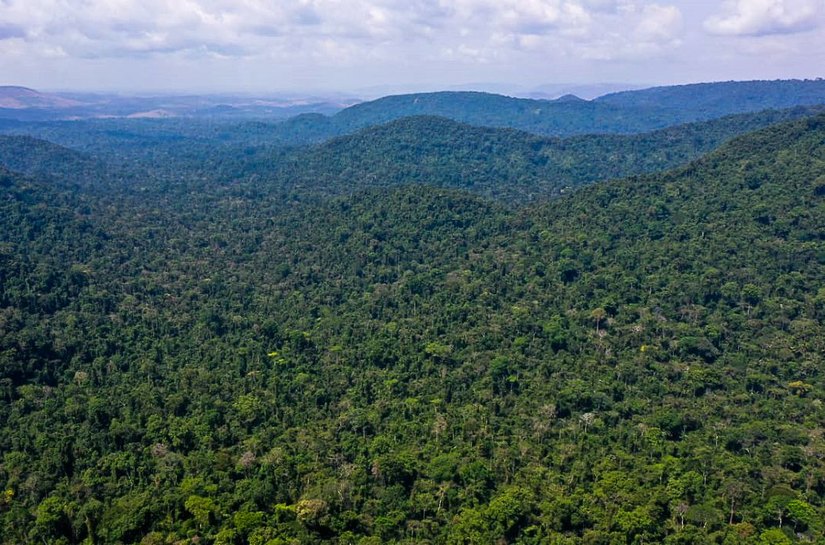 Desmatamento na Amazônia cai 31% de janeiro a maio