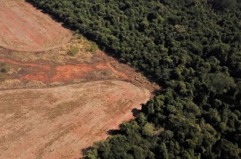 Brasil acredita em aporte maior dos EUA em Fundo Amazônia