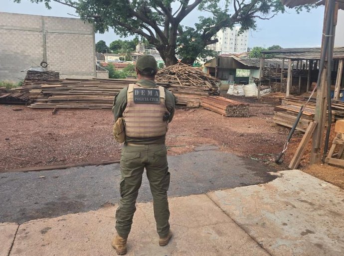 Polícia Civil cumpre mandados e desarticula grupo envolvido em crime ambiental e lavagem de dinheiro