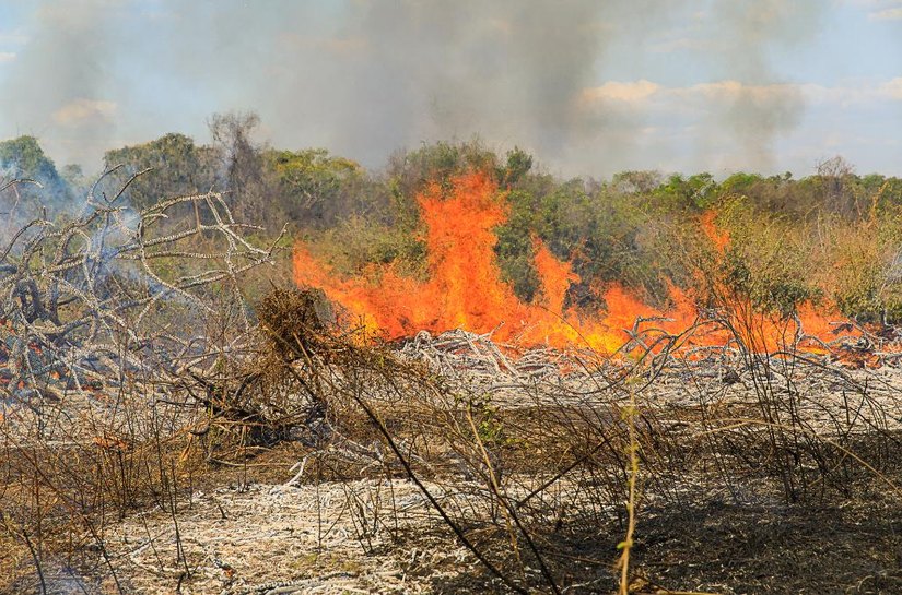 Polícia Militar prende homem por provocar incêndio em zona rural de Vila Rica, MT