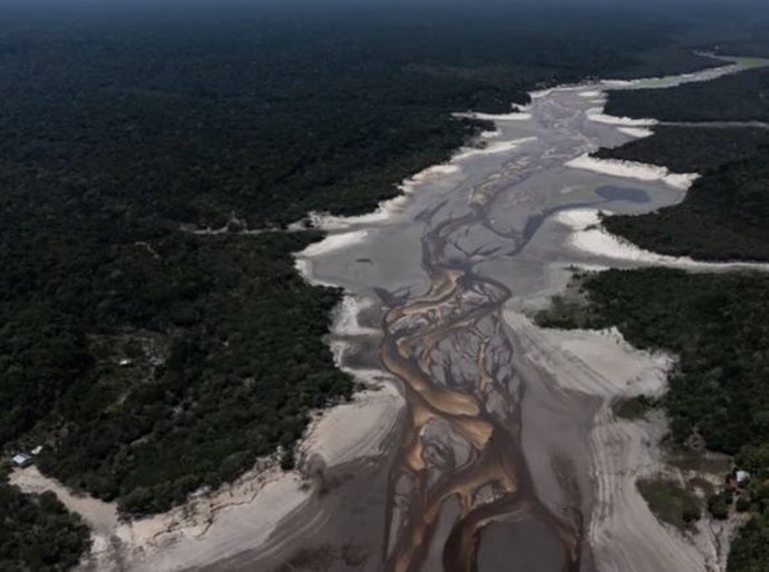 Mudanças climáticas foram 'principal' fator para seca recorde na Amazônia, diz estudo: o que isso significa para o futuro da floresta?