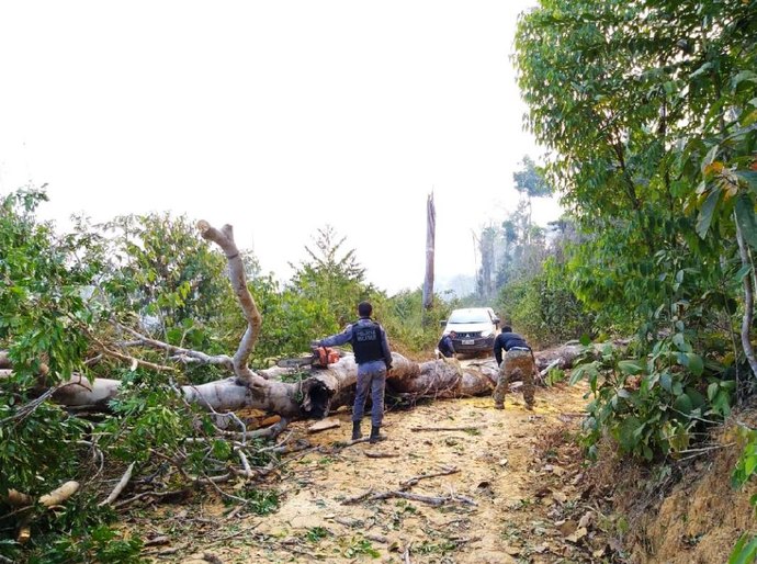 Equipes de fiscalização da Sema, Indea e PM de MT sofrem emboscadas em Colniza