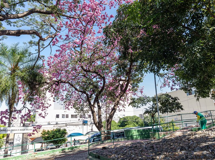 Prefeitura de Cuiabá realiza pagamento do salário de servidores e movimenta R$ 146 milhões na economia