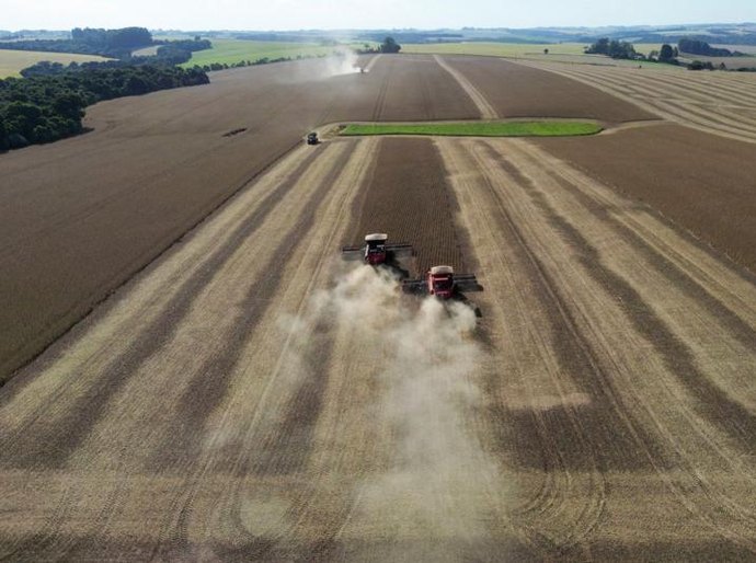 Como troca de vegetação nativa por soja pode ter agravado as enchentes no Rio Grande do Sul