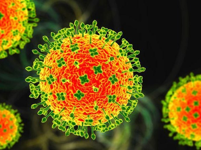 Nipah: quais são as chances de vírus mortal chegar ao Brasil ou causar nova pandemia?