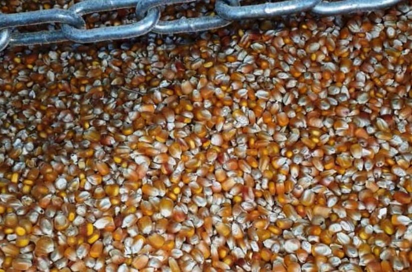 Polícia Civil prende duas pessoas envolvidas em furto de carga e estelionato