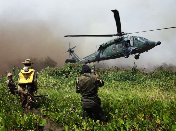 Em 15 dias, Pantanal supera queimadas registradas em agosto de 2019