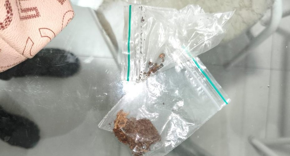 Polícia Civil cumpre mandados contra grupo criminoso que utilizava mulheres para o transporte interestadual de drogas