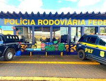 PRF e GCCO-PJC apreendem quase meia tonelada de maconha na BR-163 em Rondonópolis,MT