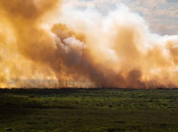 Pantanal: incêndios disparam mais de 1000% e bacia do rio Paraguai tem seca recorde