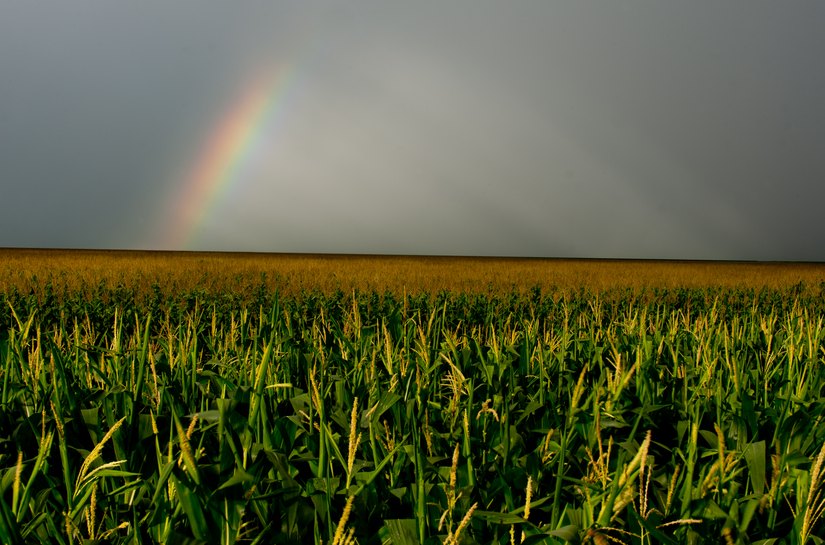 Estudo visa aumentar área irrigada em MT e garantir desempenho da produção agrícola em período de seca