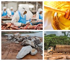 Carne, mel, madeira, peixe e mais: as vendas brasileiras já prejudicadas por anúncio de tarifa de Trump