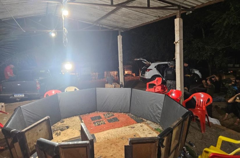 Polícia Civil desarticula rinha de galos e conduz 17 pessoas à delegacia em Canarana