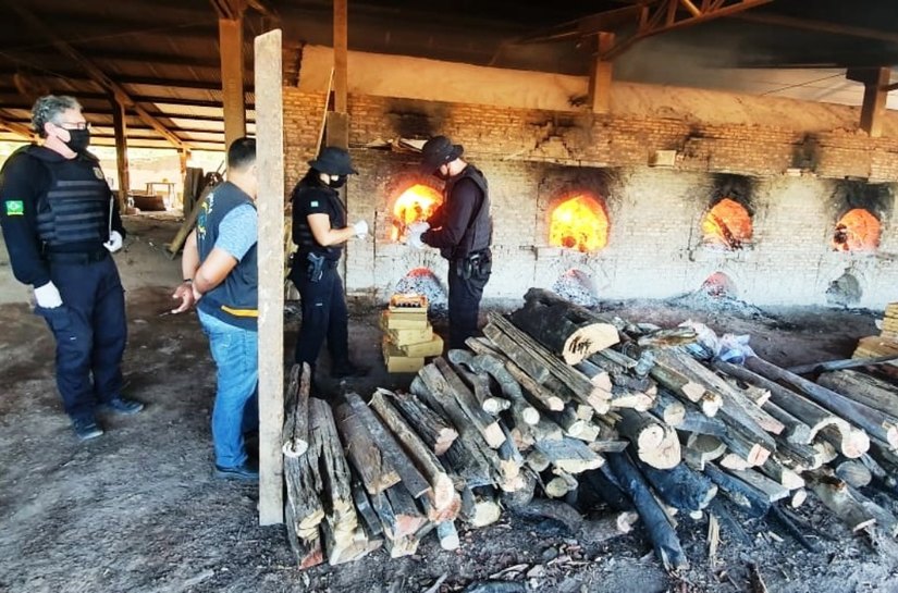 Polícia Civil incinera 480 quilos de entorpecentes apreendidos no semestre em Barra do Garças