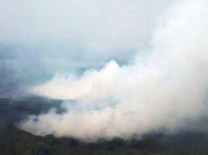 Por que o Pantanal vive 'maior tragédia ambiental' em décadas