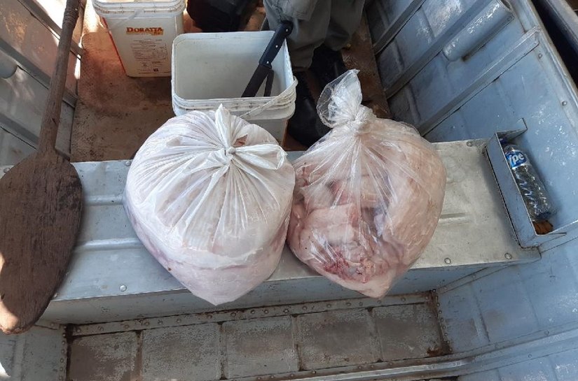 Sema e PM apreendem 26 kg carne de jacaré durante fiscalização no rio Cuiabá