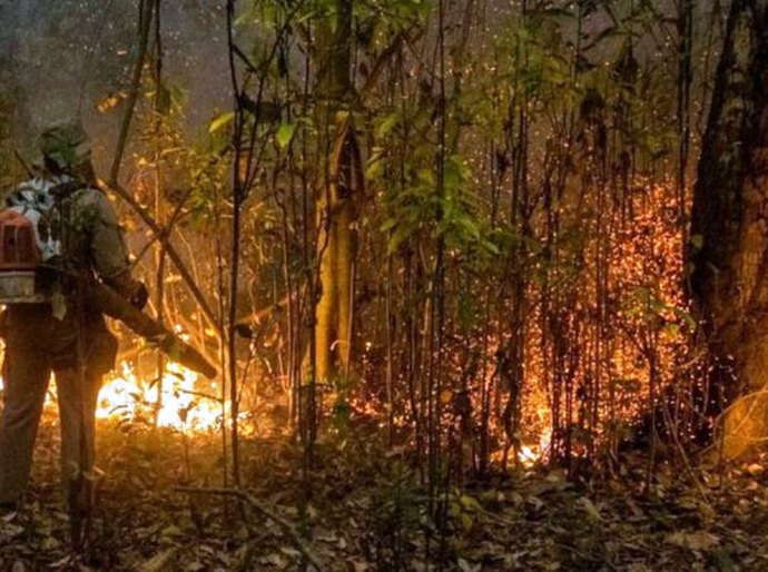 Os seis fatores que tornam incêndios no Pantanal difíceis de serem controlados