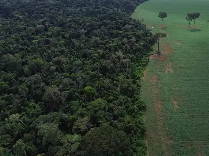 Caravana social vai à COP30 denunciar megaprojetos do agronegócio
