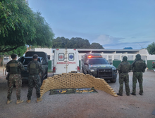 Gefron apreende 216 tabletes de skunk avaliados em R$ 648 mil em ambulância