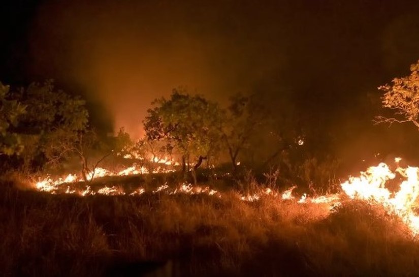 Brasil reduz em 12% emissões de gases do efeito estufa em 2023