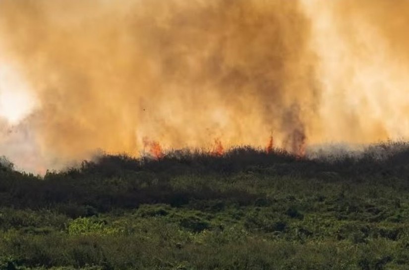MS decreta situação de emergência em cidades atingidas pelos incêndios no Pantanal