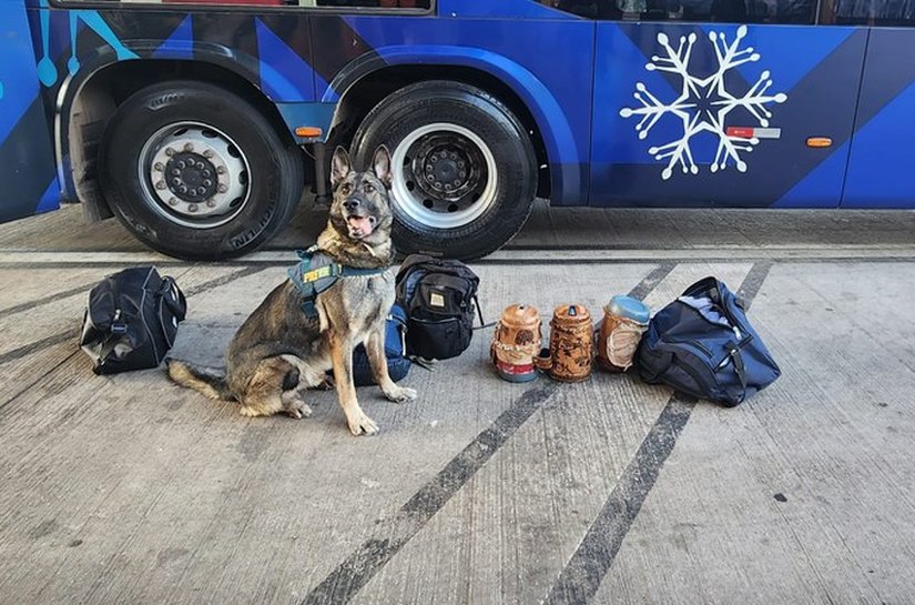 Com ajuda de cães farejadores, PRF apreende 4,5 KG de cocaína na BR 364, km 387, em Cuiabá