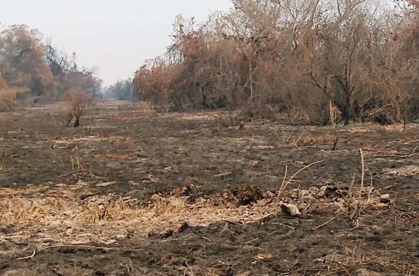 TCE-MT e CET-Pantanal acompanham ações de enfrentamento às queimadas no Pantanal