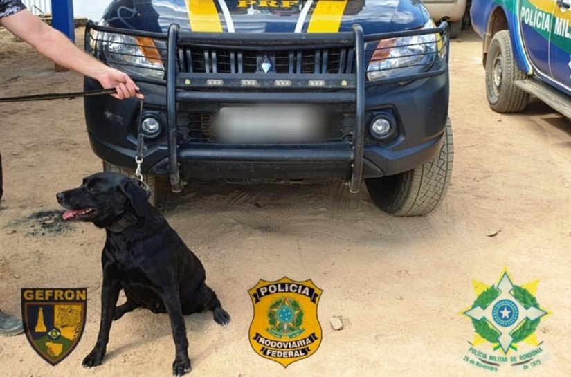 Veja Fotos: Gefron de MT, PRF e PM/RO apreendem carregamento de cocaína avaliado em quase R$ 1 milhão em Machadinho do Oeste/RO