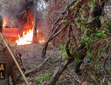 Veja Fotos: PF encerra incursões nas Terras Indigenas Sararé